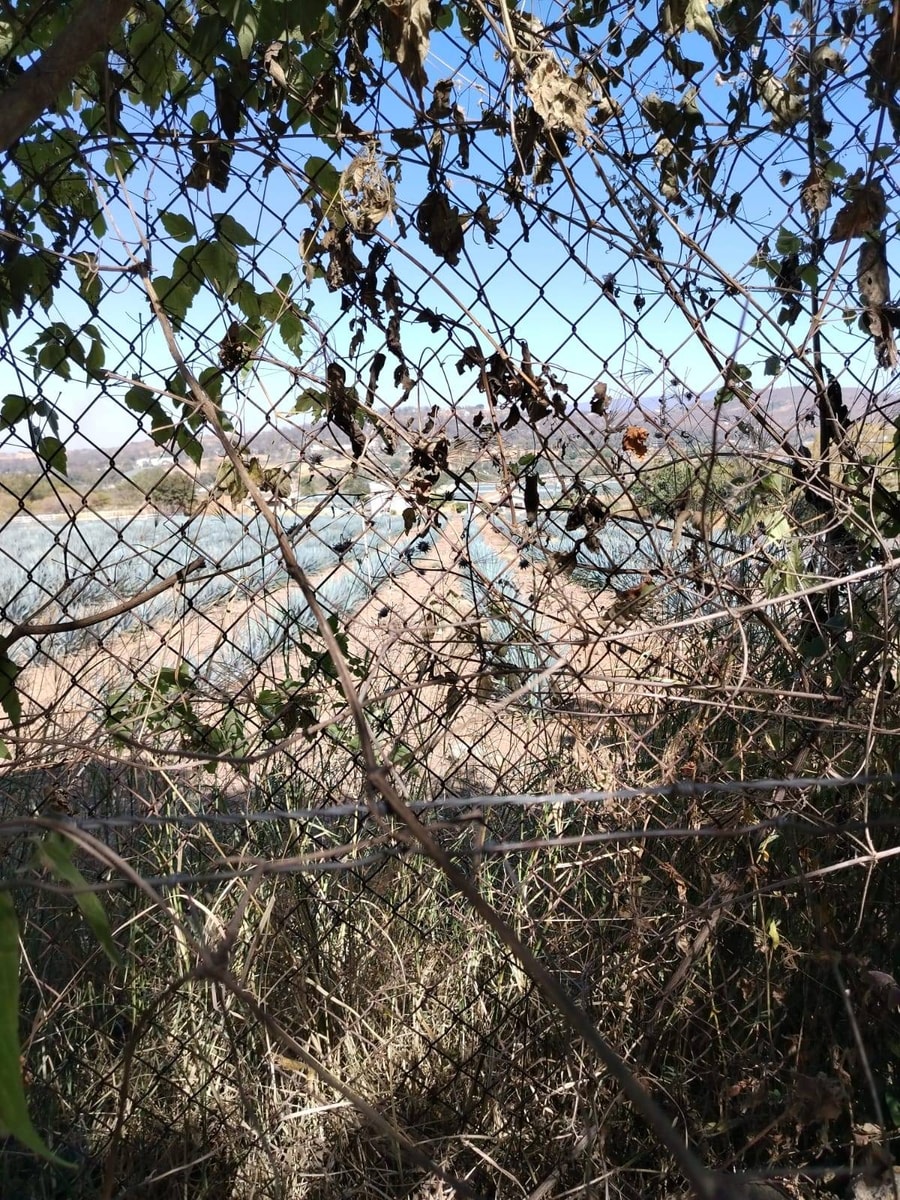 Terreno Rural