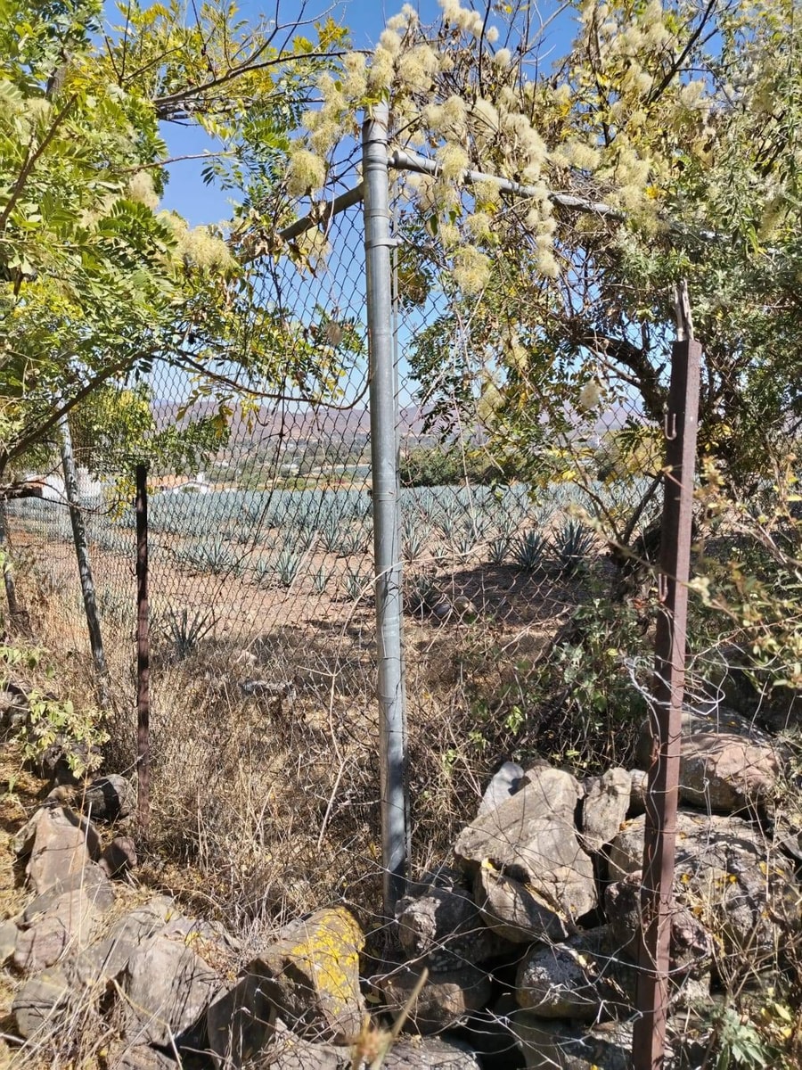 Terreno Rural 2