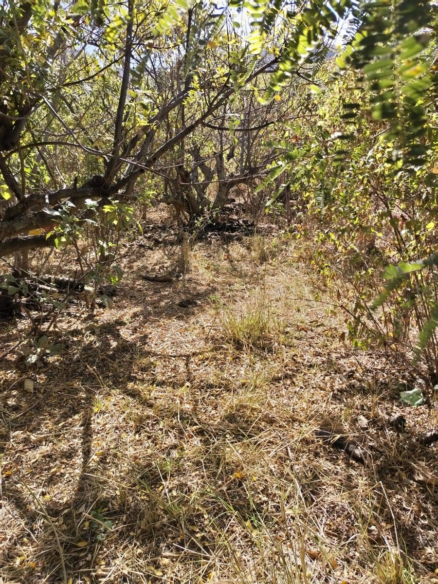 Terreno Rural 4