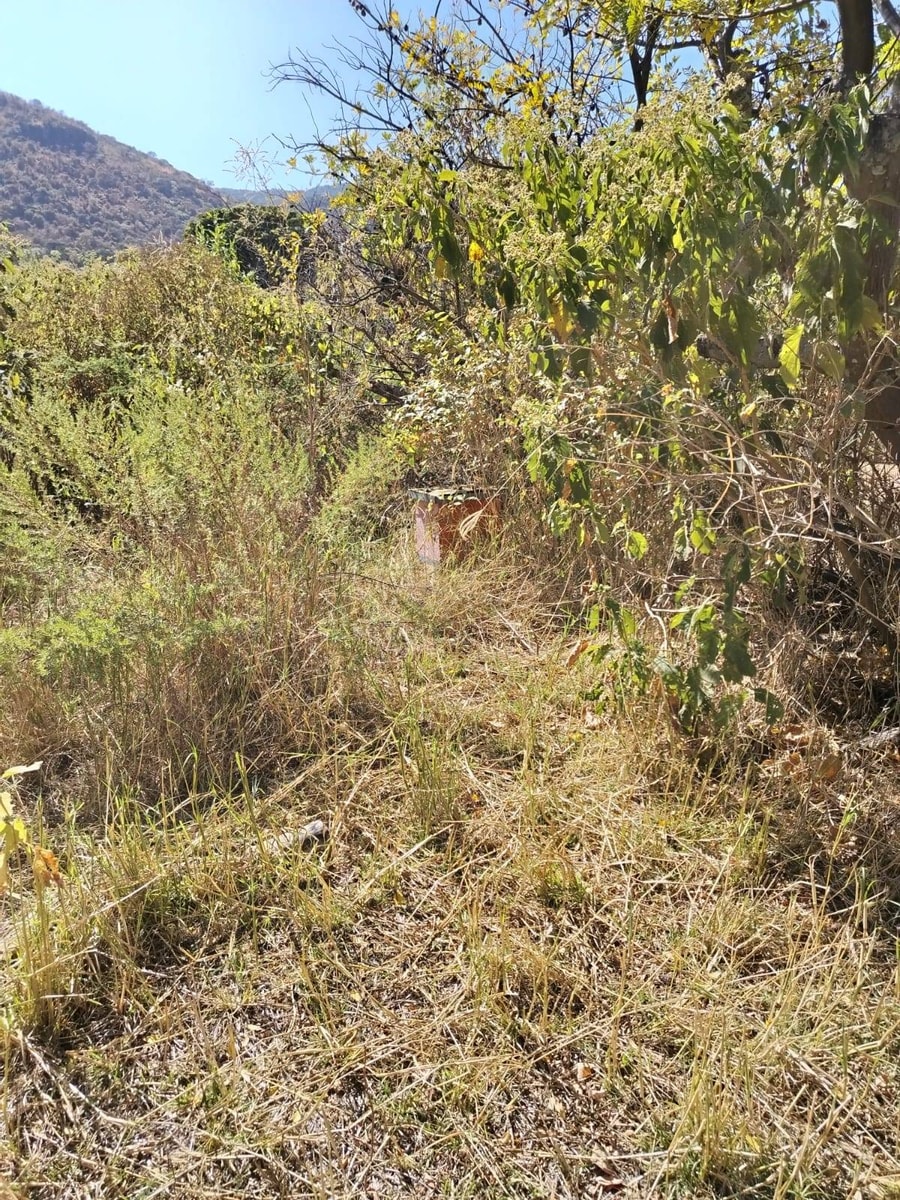 Terreno Rural 5