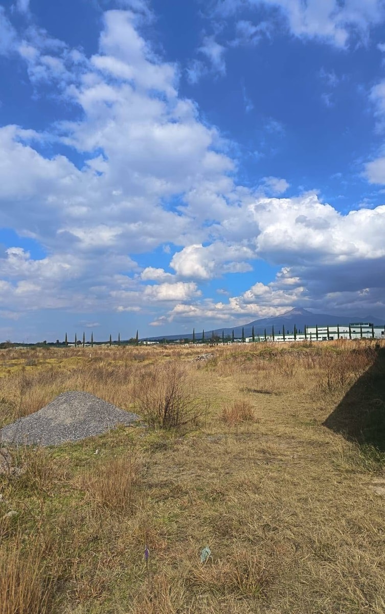 TERRENO EN SAN PABLO DEL MONTE 3