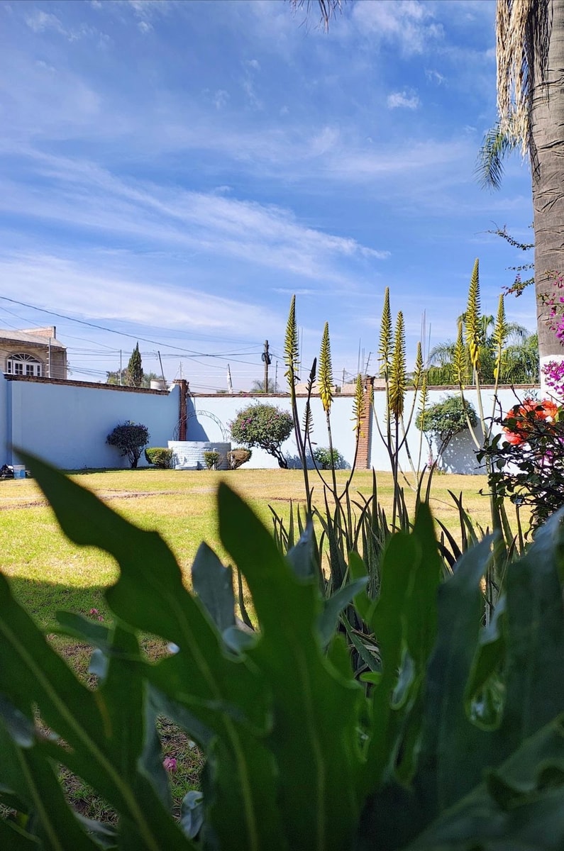 Casa de descanso
  5