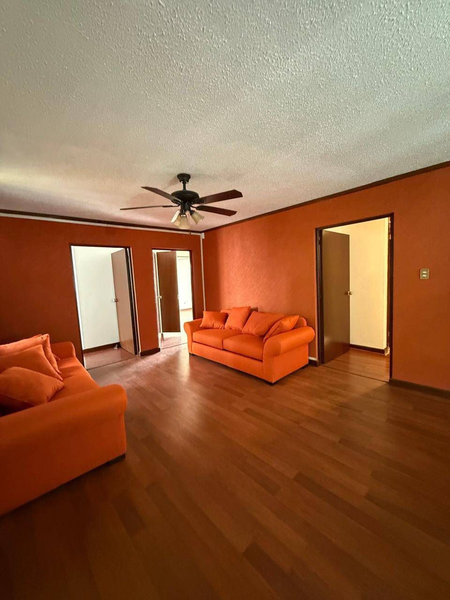 CASA + LOCAL ESTILO MEXICANO CONTEMPORÁNEO  2