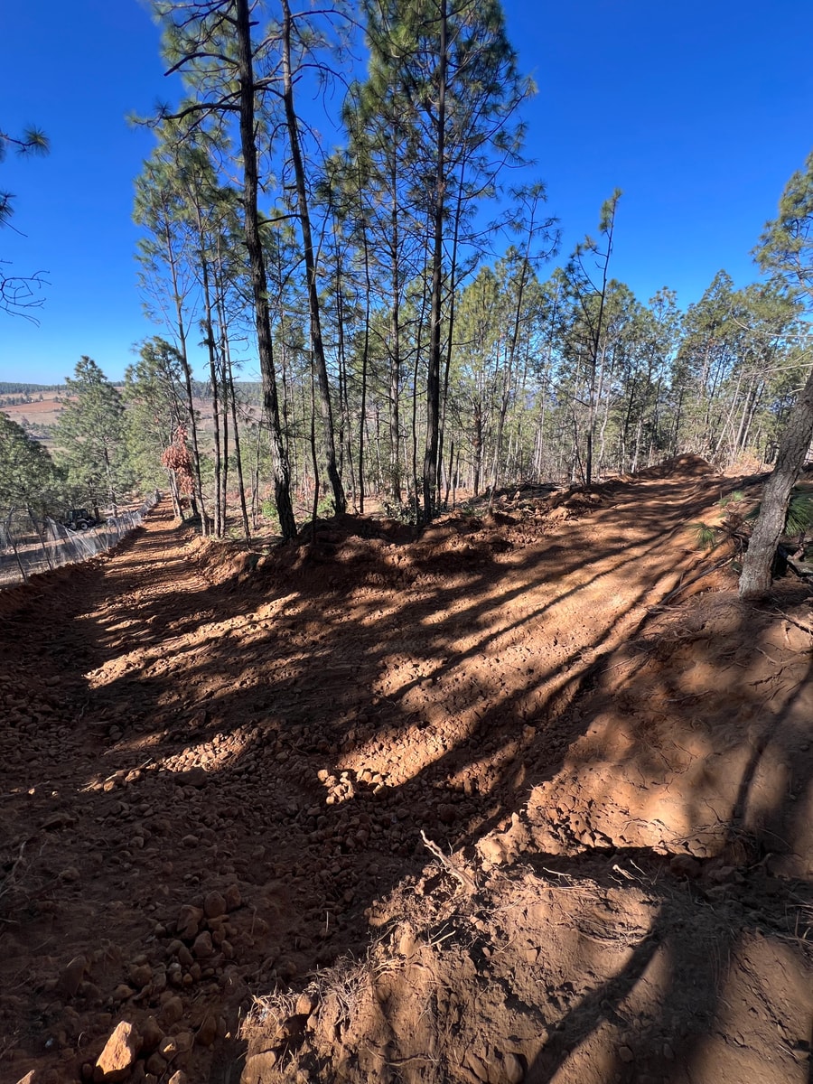 Terreno en venta dentro del bosque 5
