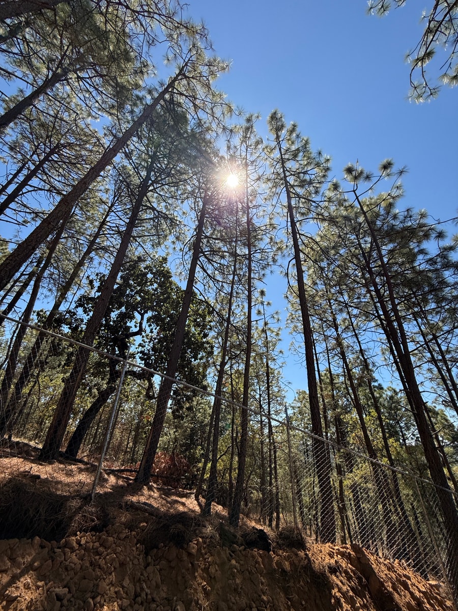 Terreno en venta dentro del bosque 3