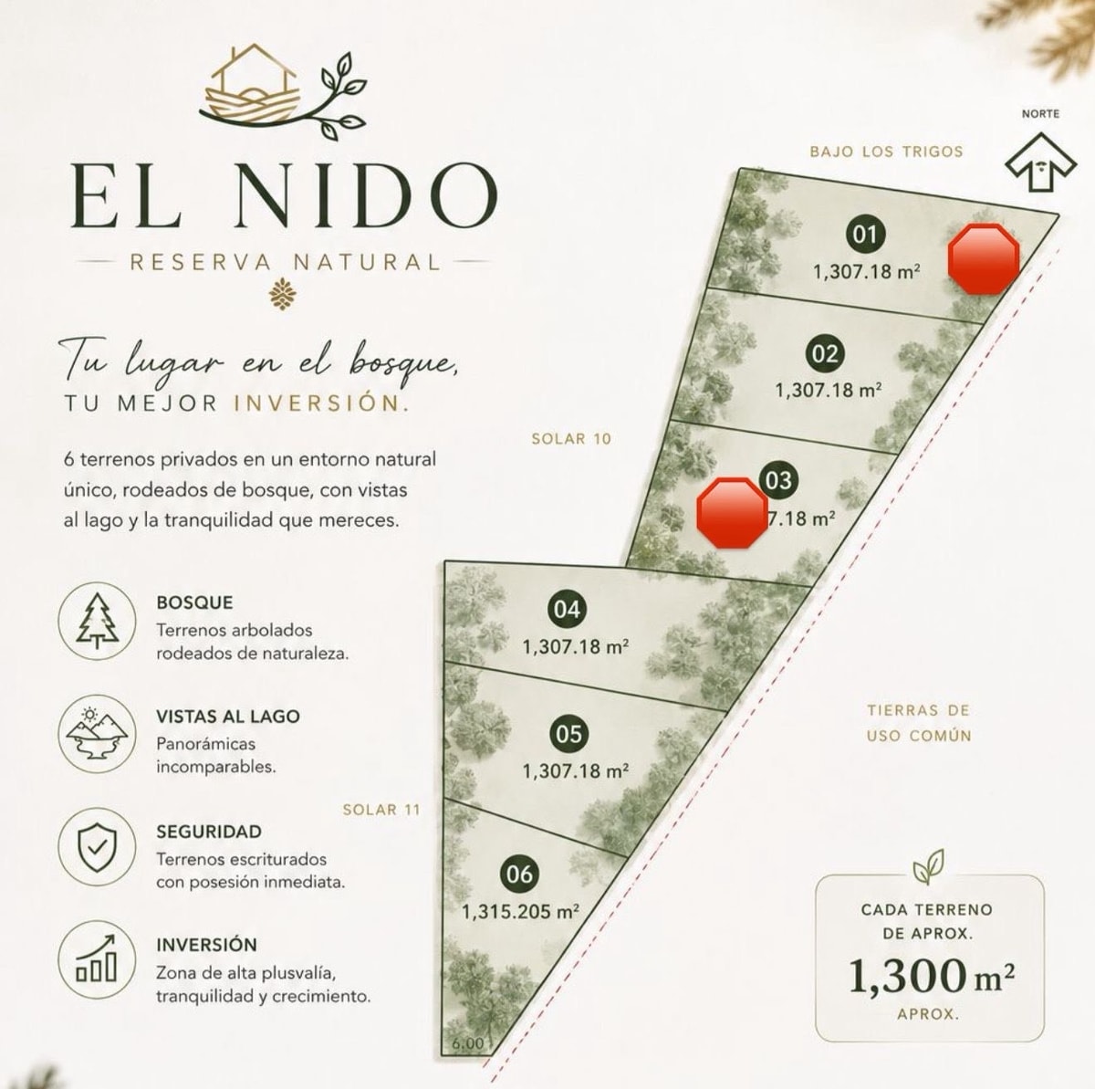 Terreno en venta dentro del bosque 2