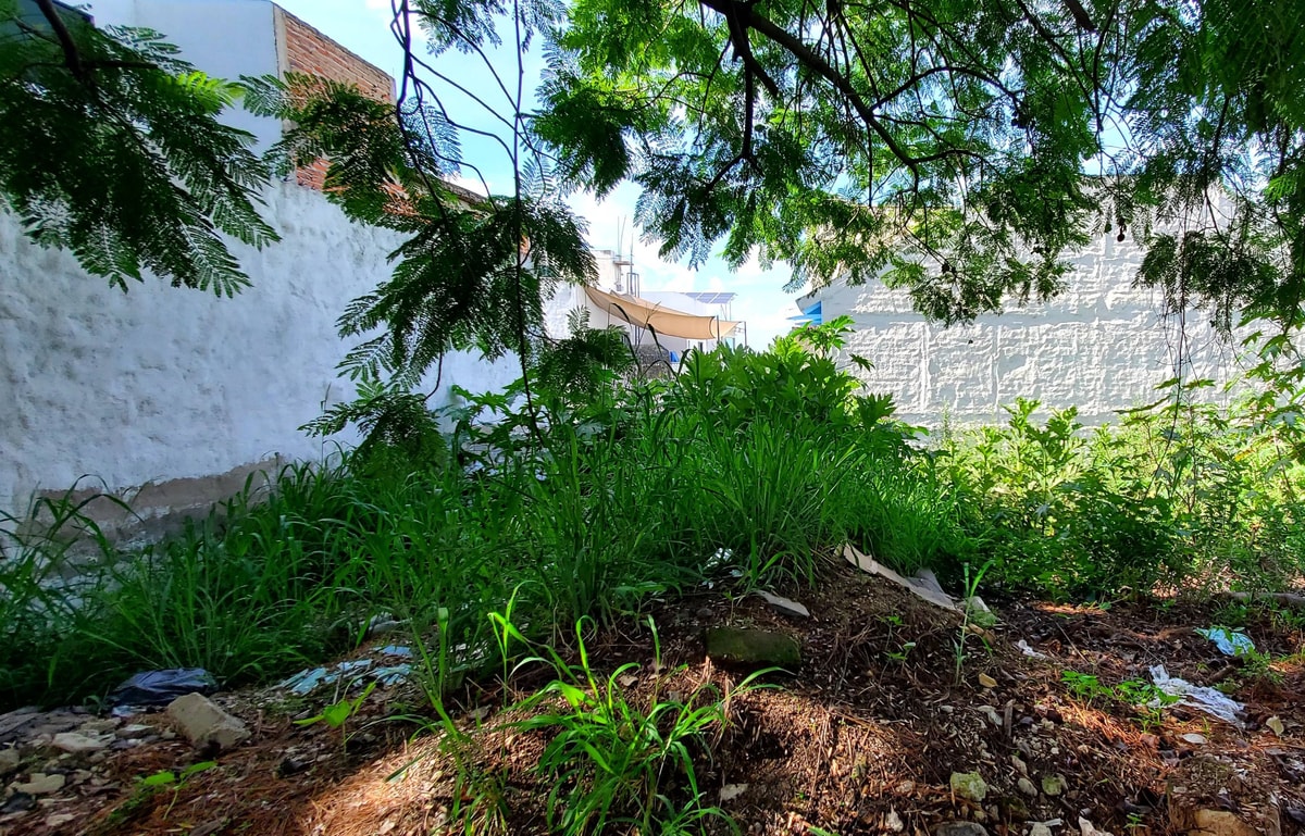 Lote en Fraccionamiento El Cortijo San Agustín 5
