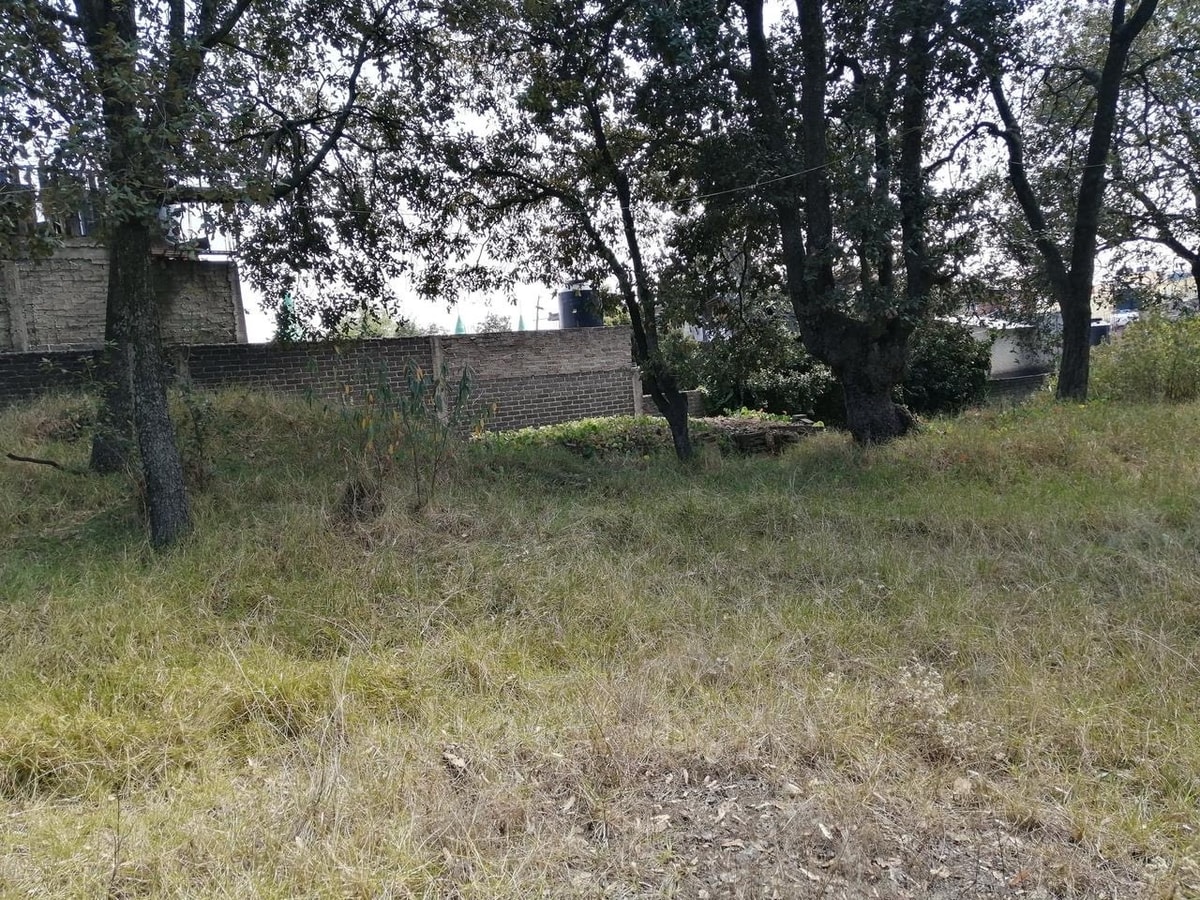 Terreno en Venta | Tlalpan 4,951 m2 5