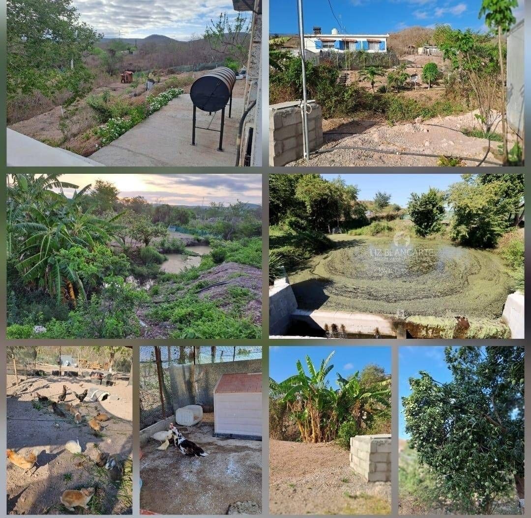 Propiedad Campestre en Mazatlán  3