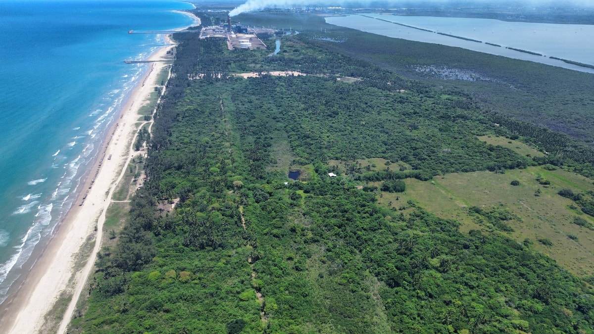 RESERVA TERRITORIAL FRENTE AL GOLFO DE MÉXICO 5
