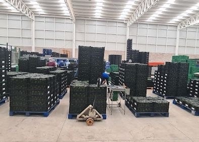 🏭 ¡NAVE INDUSTRIAL EN VENTA EN CIUDAD GUZMÁN, JAL 4