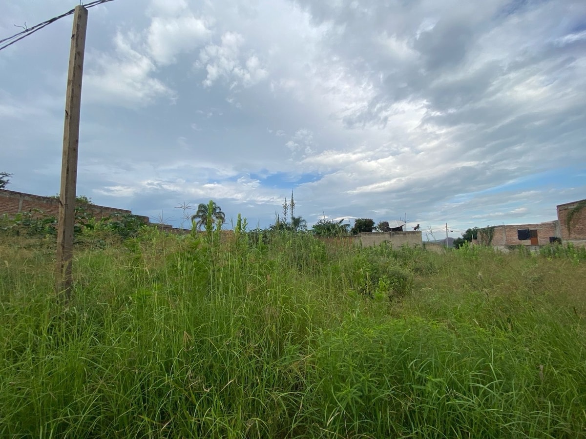 Terreno zona industrial crecimiento 3